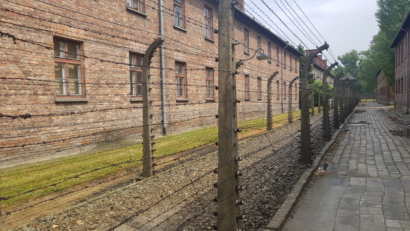 20190713barbwireAushwitz1